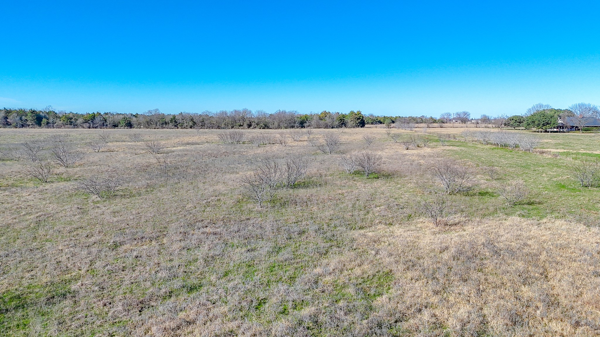 Lot 8 NE Cr 2160 Kerens TX 75144