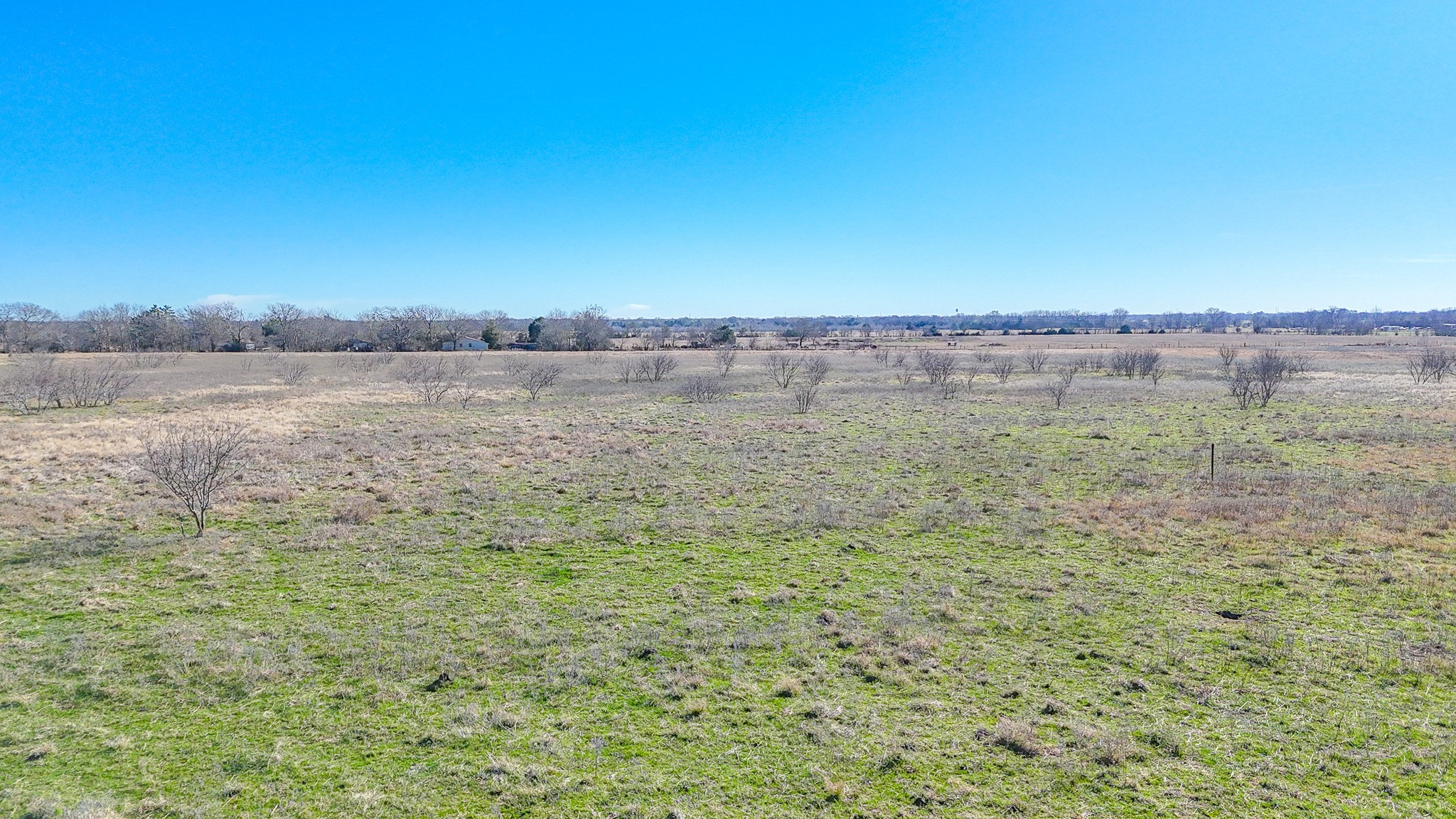 Lot 8 NE Cr 2160 Kerens TX 75144