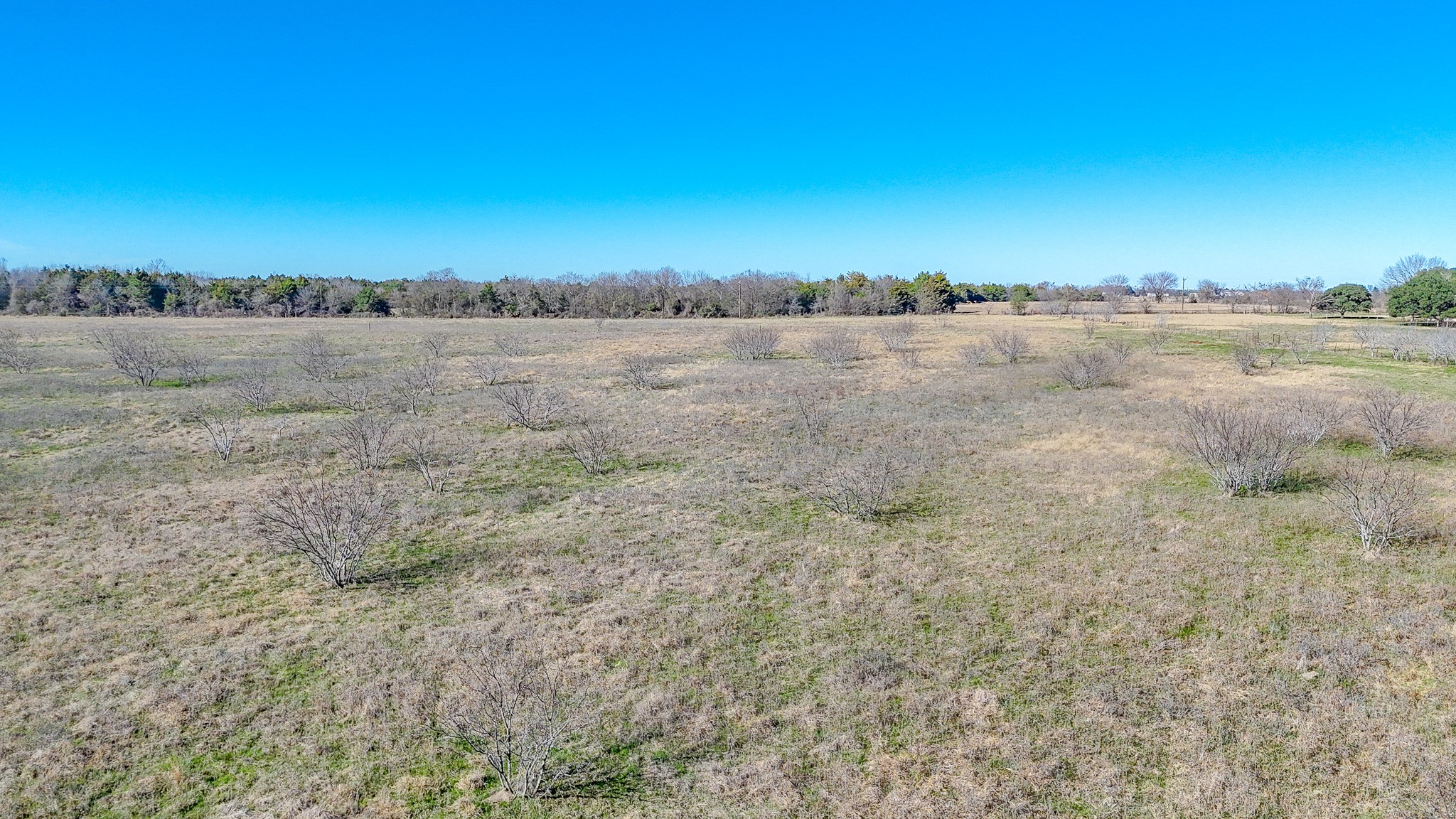 Lot 8 NE Cr 2160 Kerens TX 75144