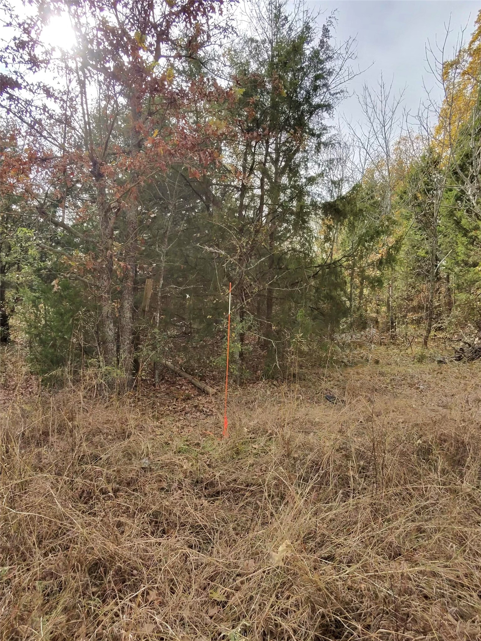 Tbd/ Lot 446-451 Cedar Drive Eustace TX 75124