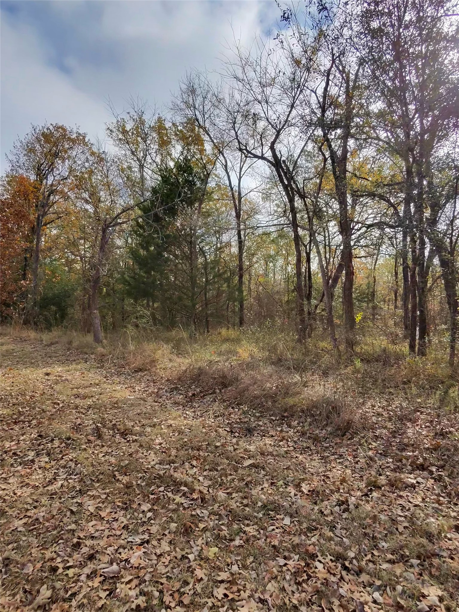 Tbd/ Lot 446-451 Cedar Drive Eustace TX 75124