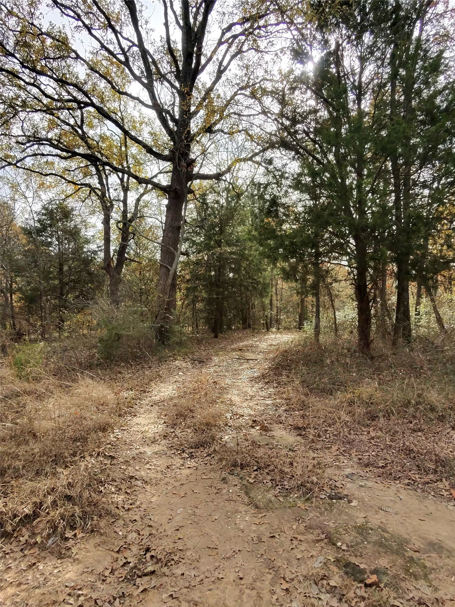Tbd/ Lot 446-451 Cedar Drive Eustace TX 75124