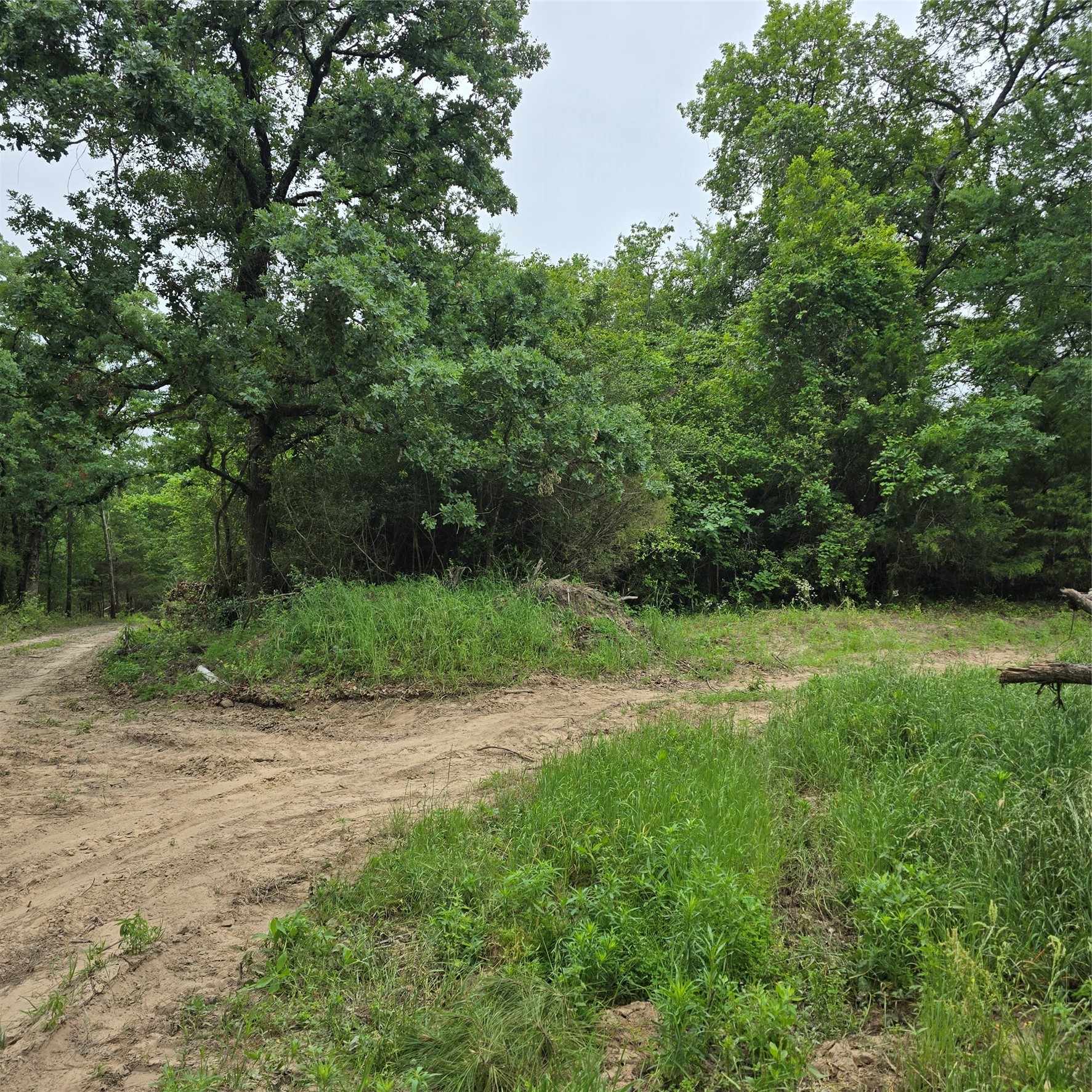 7360 County Road 2832 Mabank TX 75156