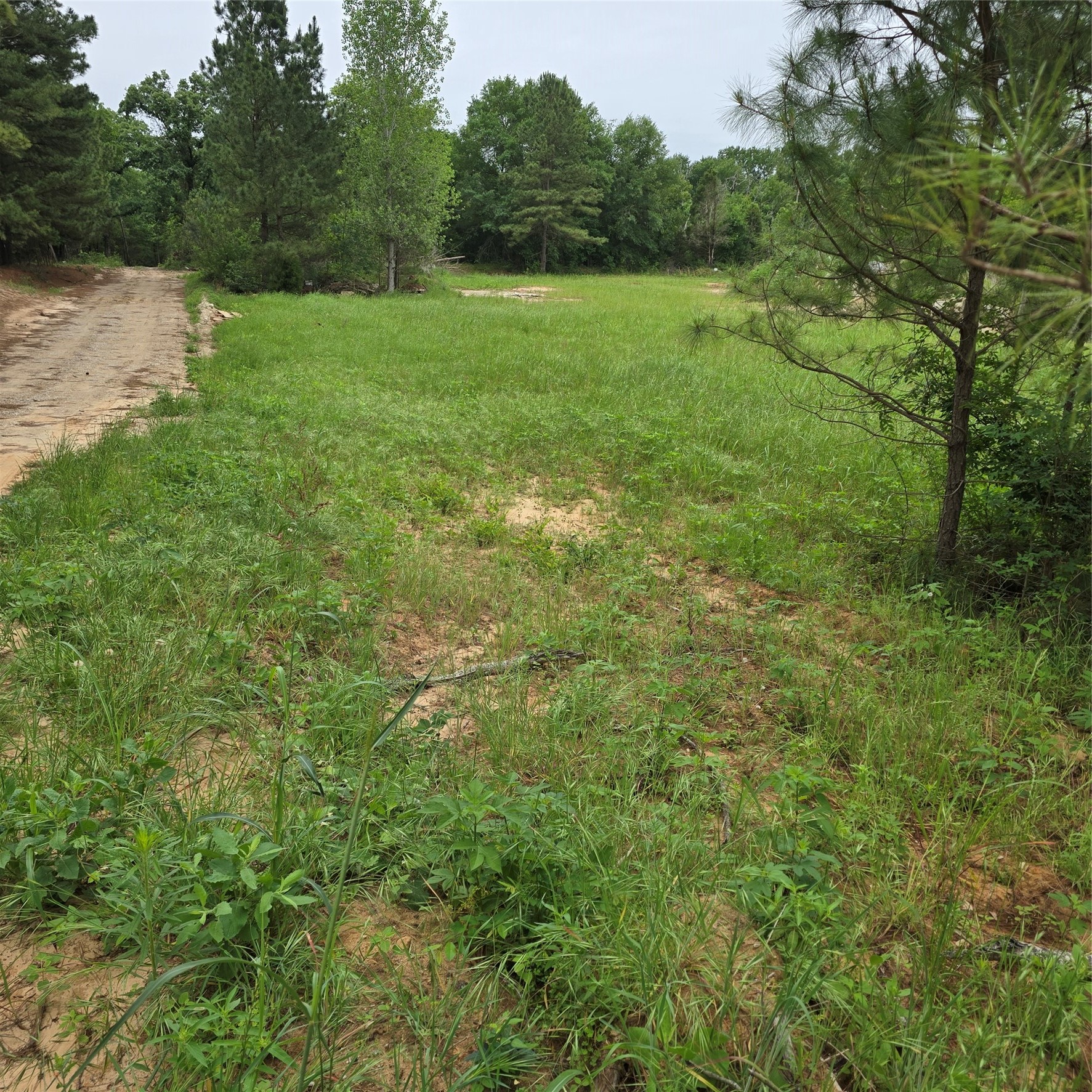 7360 County Road 2832 Mabank TX 75156
