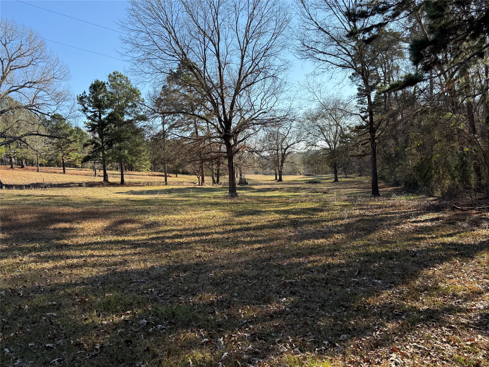 Tbd 9999 Fm 2015 Tyler TX 75708