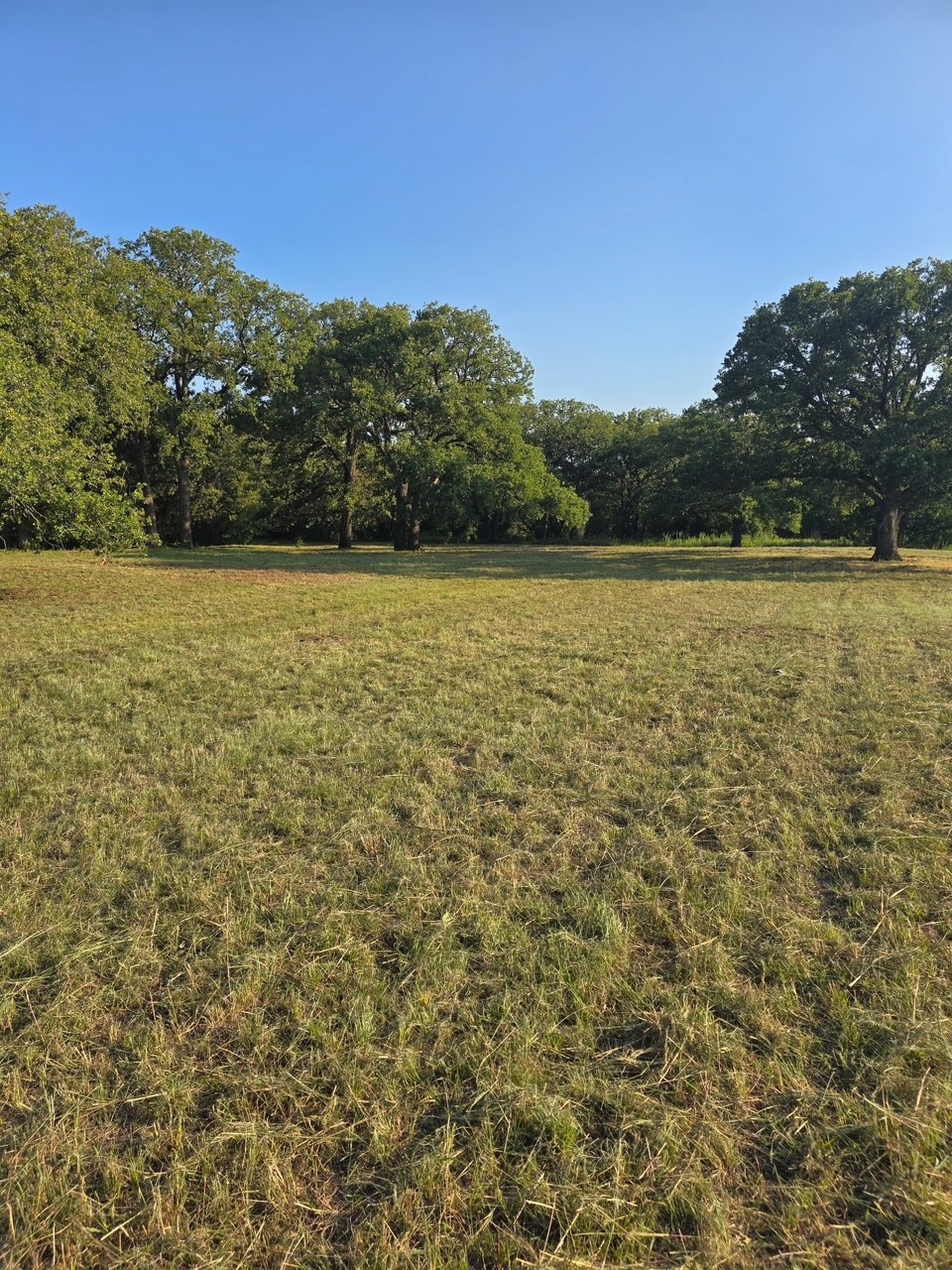 384 Red Oak Hills Road Nocona TX 76255