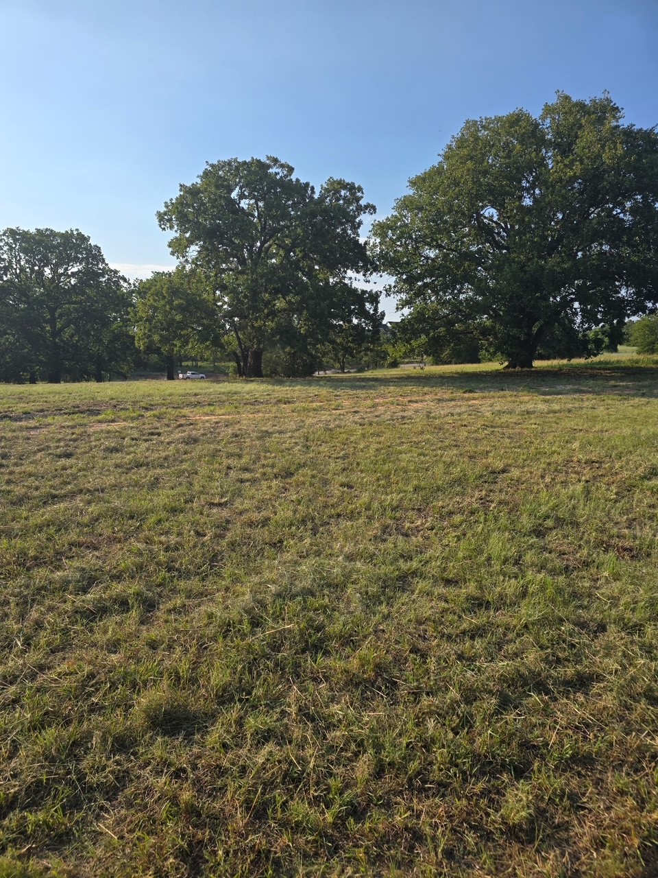 384 Red Oak Hills Road Nocona TX 76255