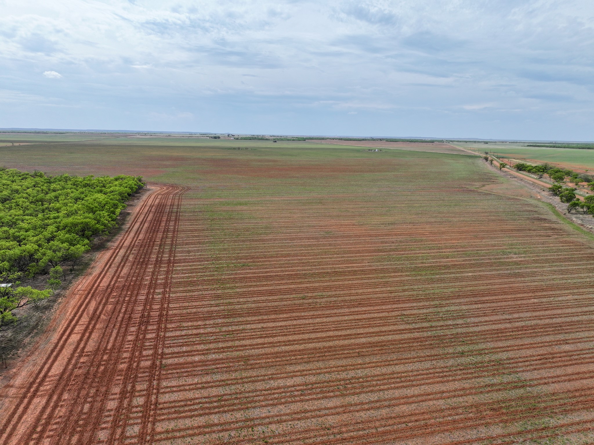 Tbd Cr 134 Old Glory TX 79540