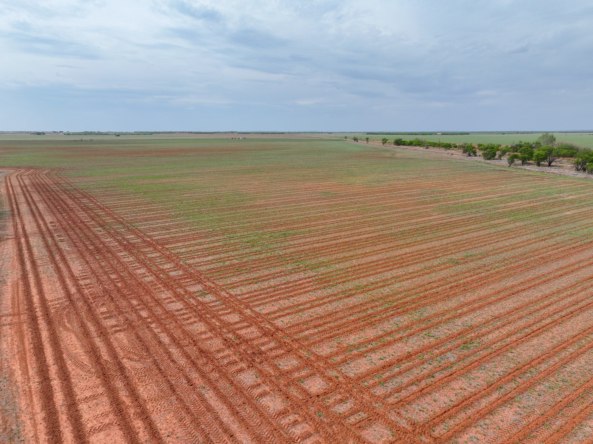 Tbd Cr 134 Old Glory TX 79540