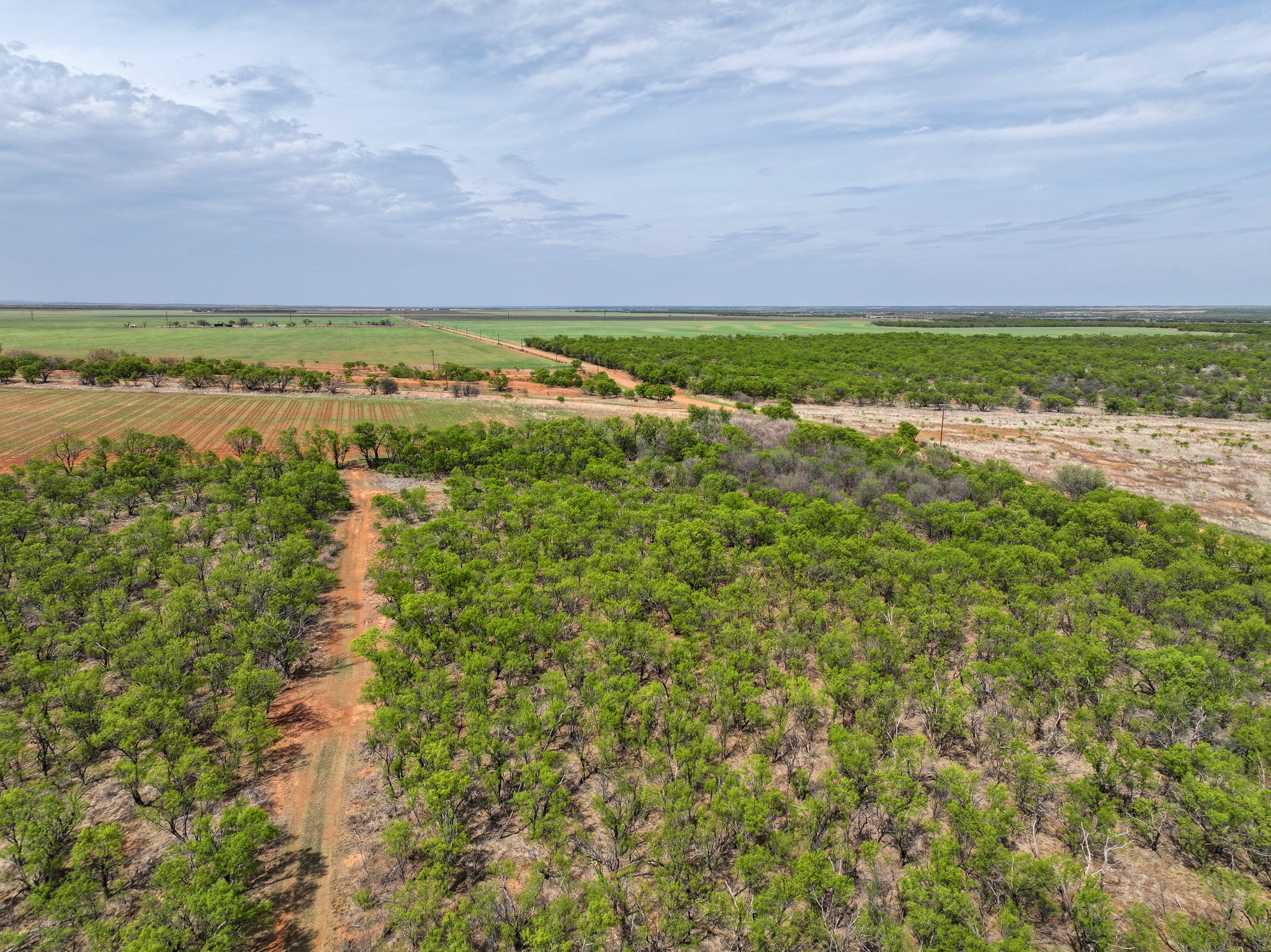 Tbd Cr 134 Old Glory TX 79540