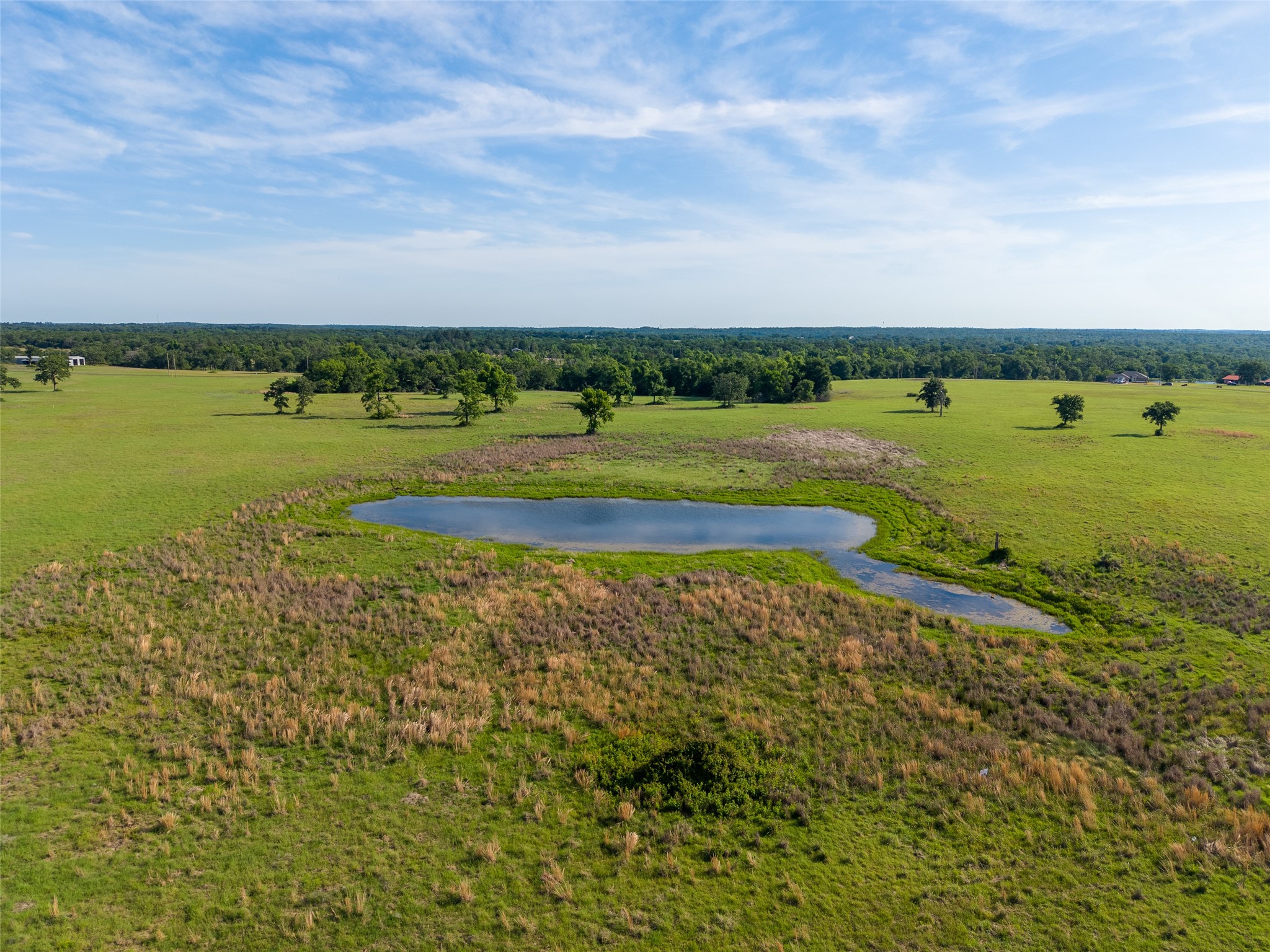 Lot 67 Horseshoe Lake Ranch Marquez TX 77865