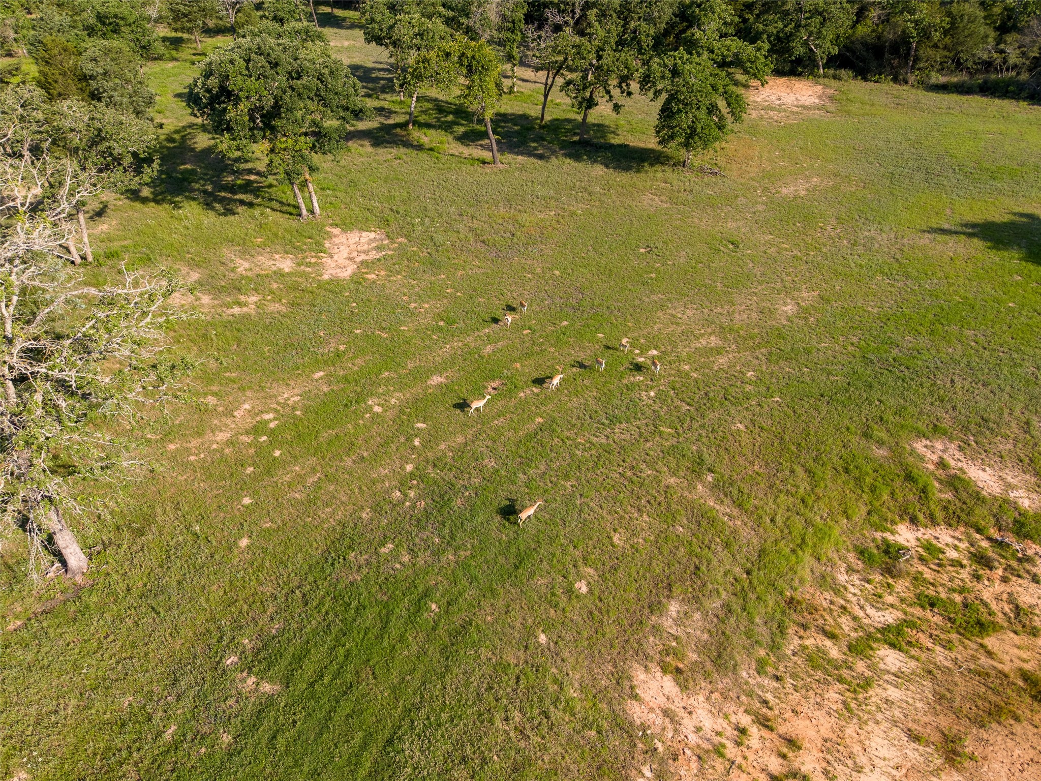 Lot 67 Horseshoe Lake Ranch Marquez TX 77865