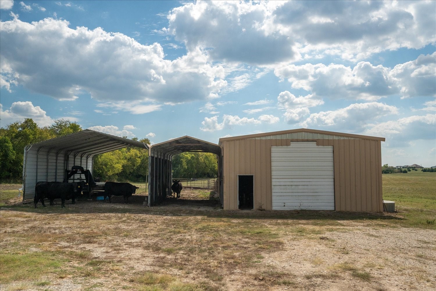 3679 Cr-1089 Celeste TX 75423