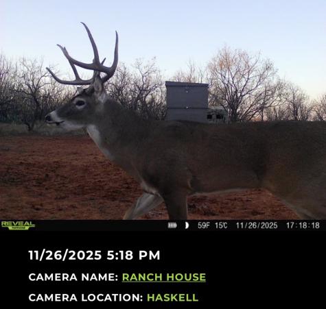 2607 Us 380 East Haskell TX 79521