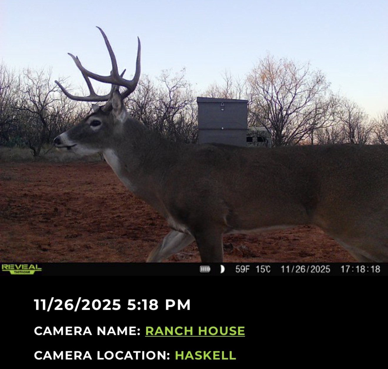 2607 Us 380 East Haskell TX 79521