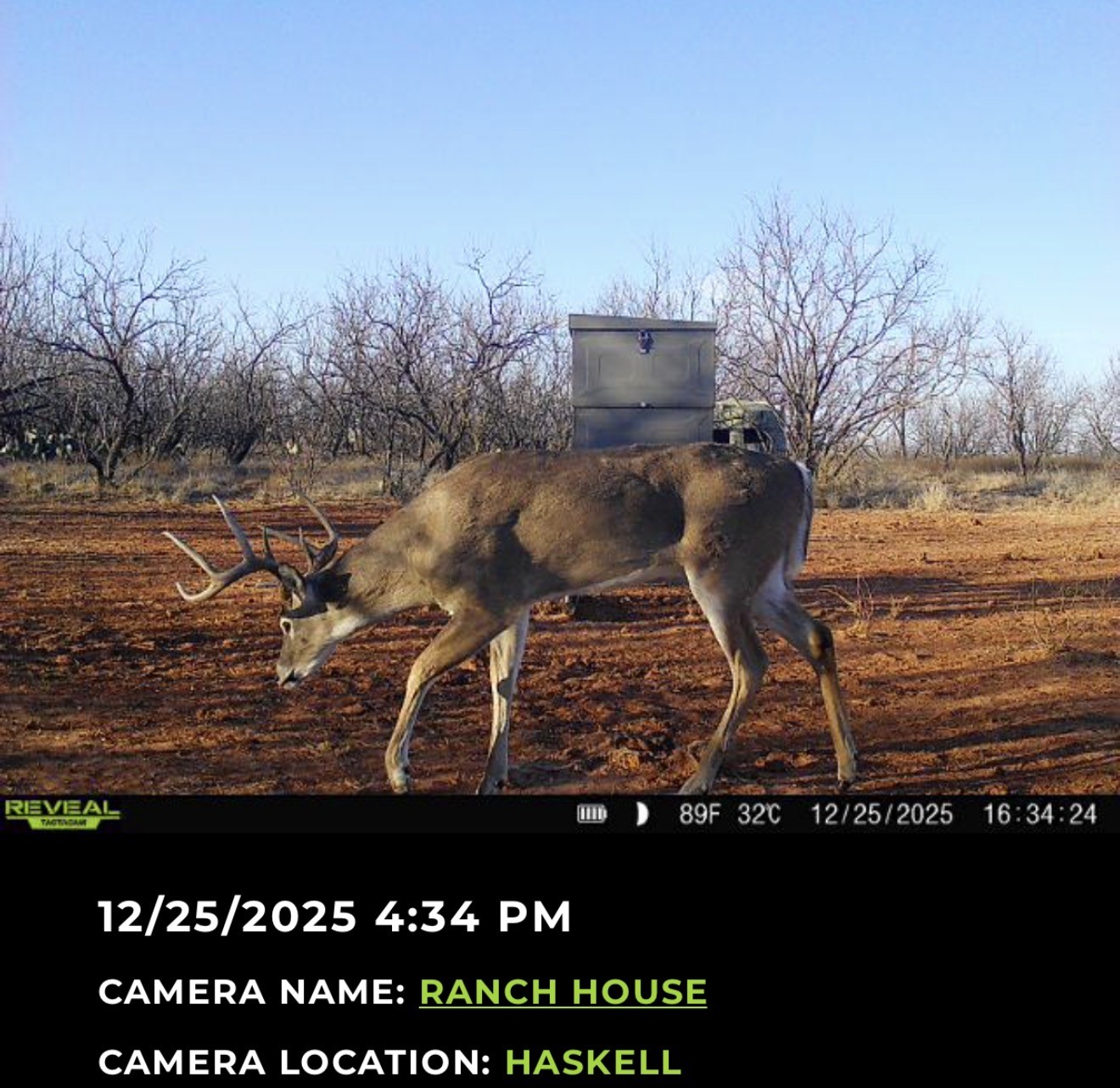 2607 Us 380 East Haskell TX 79521
