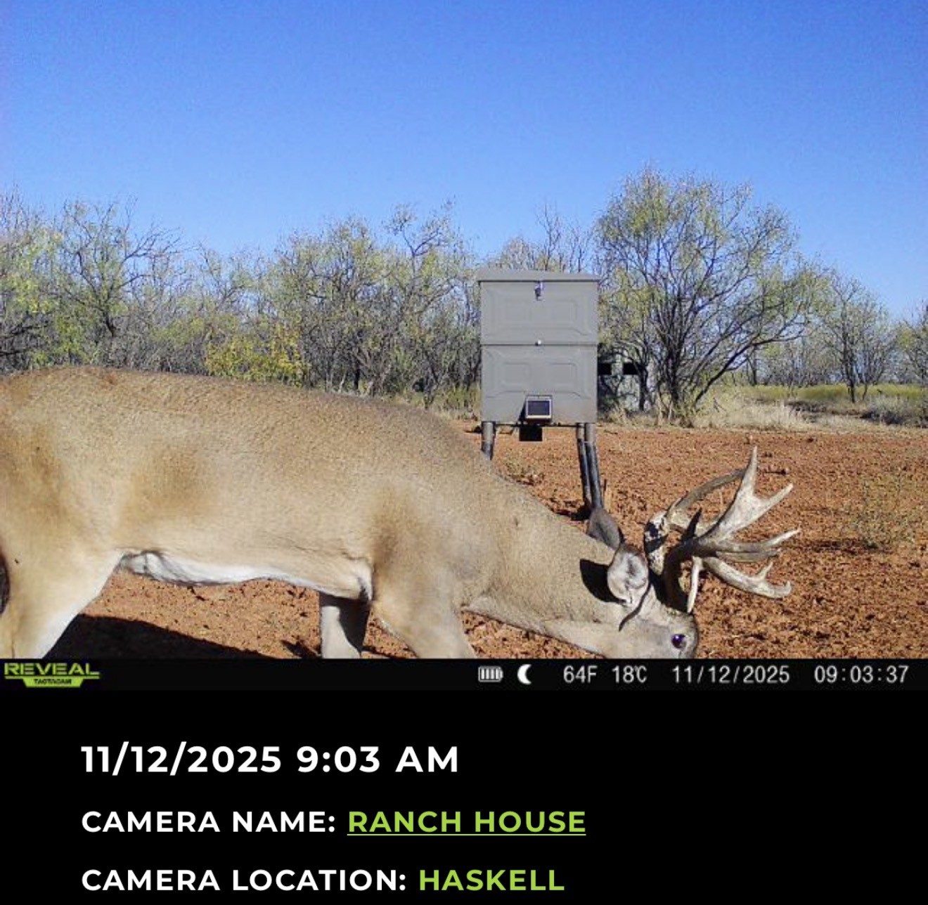 2607 Us 380 East Haskell TX 79521