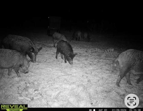 2607 Us 380 East Haskell TX 79521