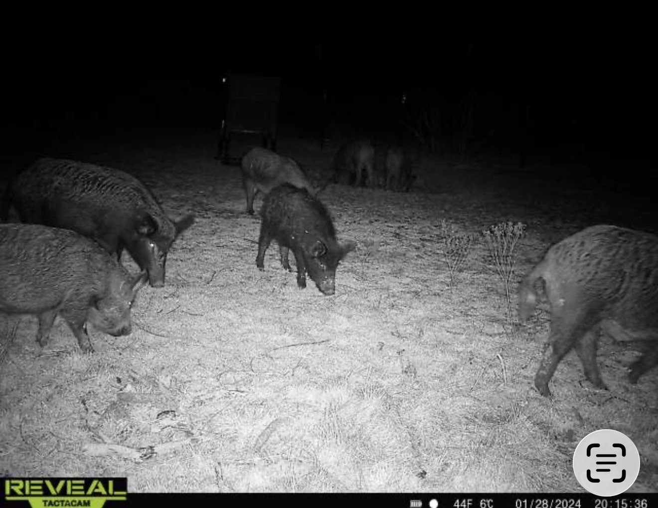 2607 Us 380 East Haskell TX 79521