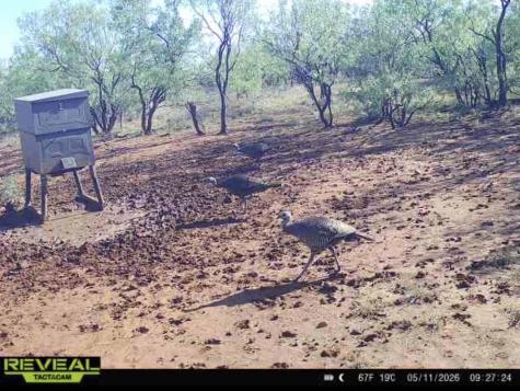 2607 Us 380 East Haskell TX 79521