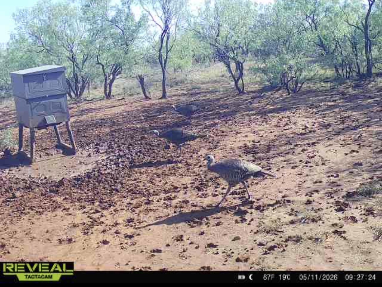 2607 Us 380 East Haskell TX 79521