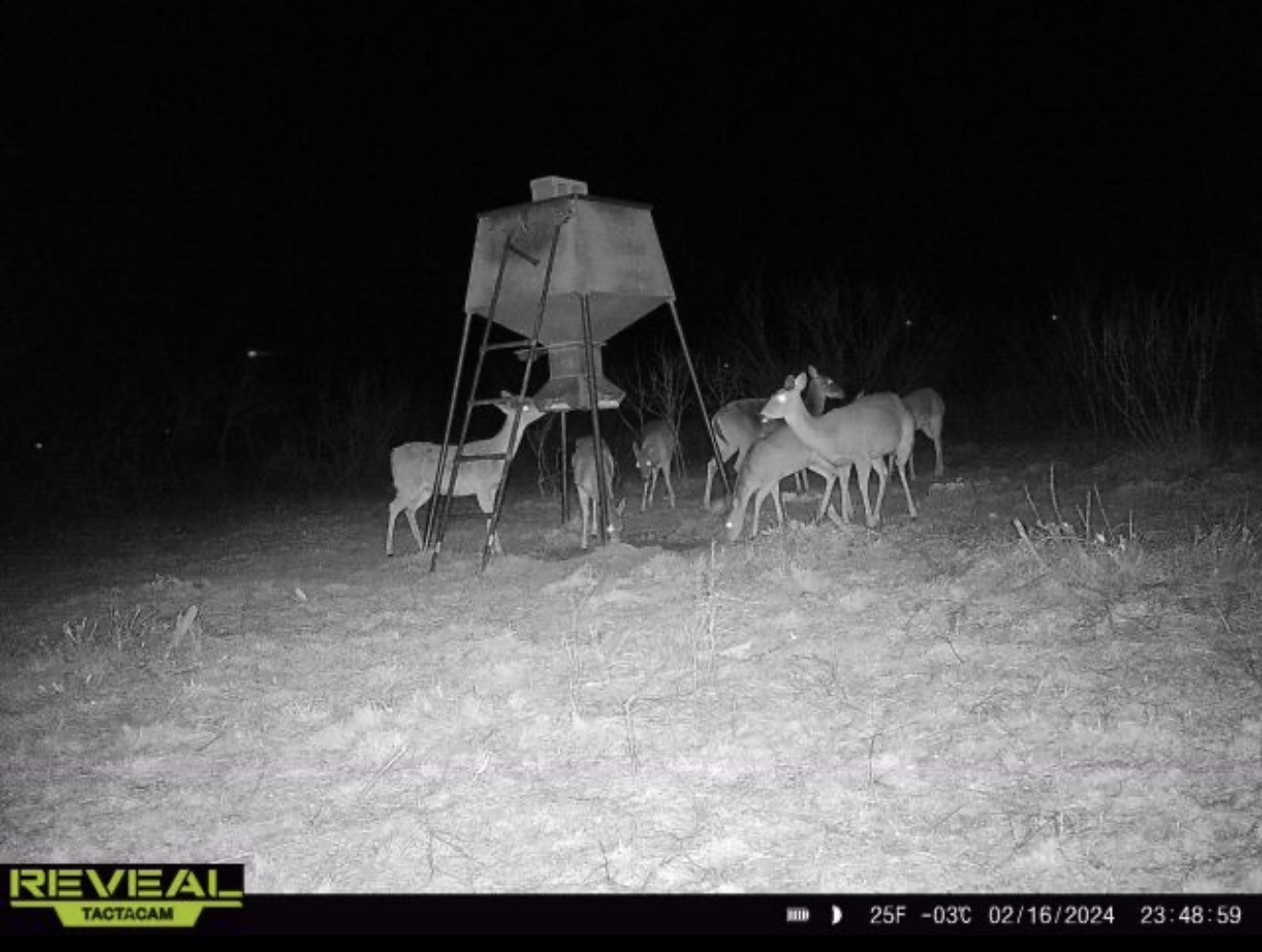 2607 Us 380 East Haskell TX 79521
