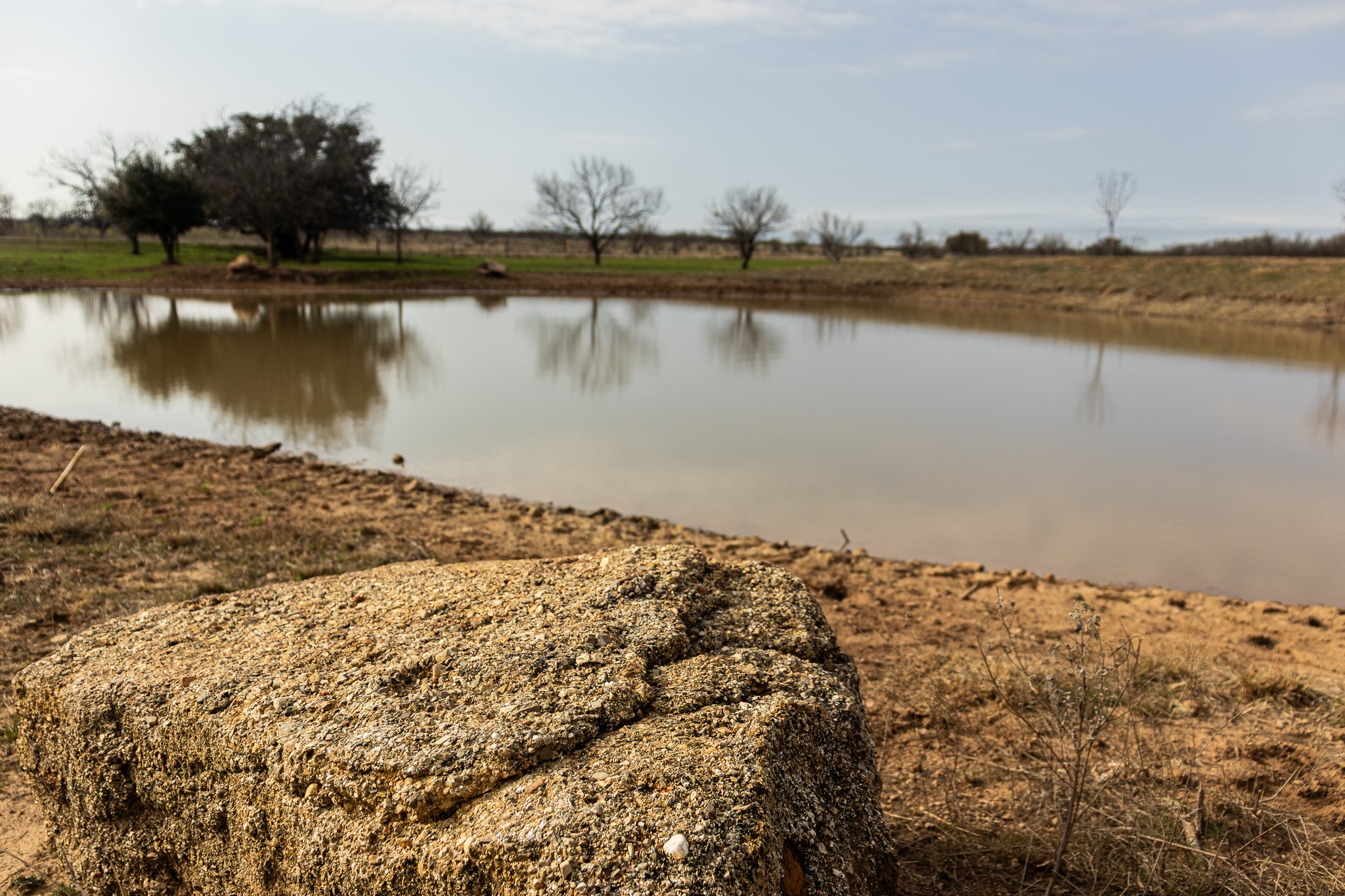 1951 Hamilton Road Graham TX 76450