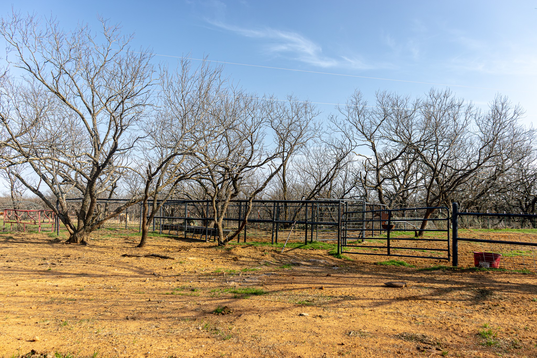 1951 Hamilton Road Graham TX 76450