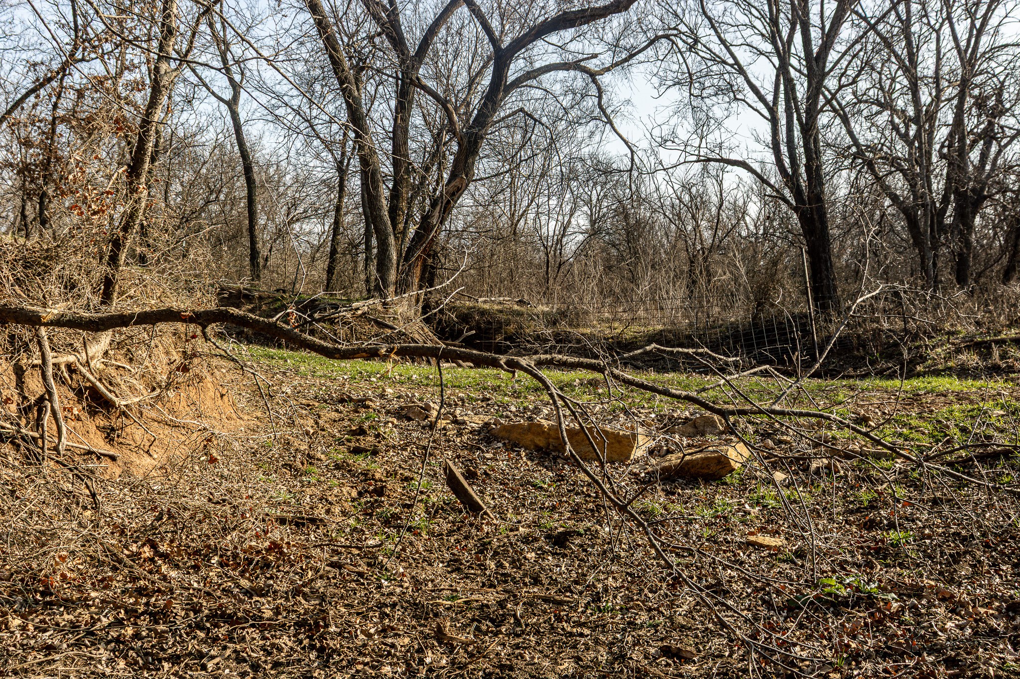 1951 Hamilton Road Graham TX 76450
