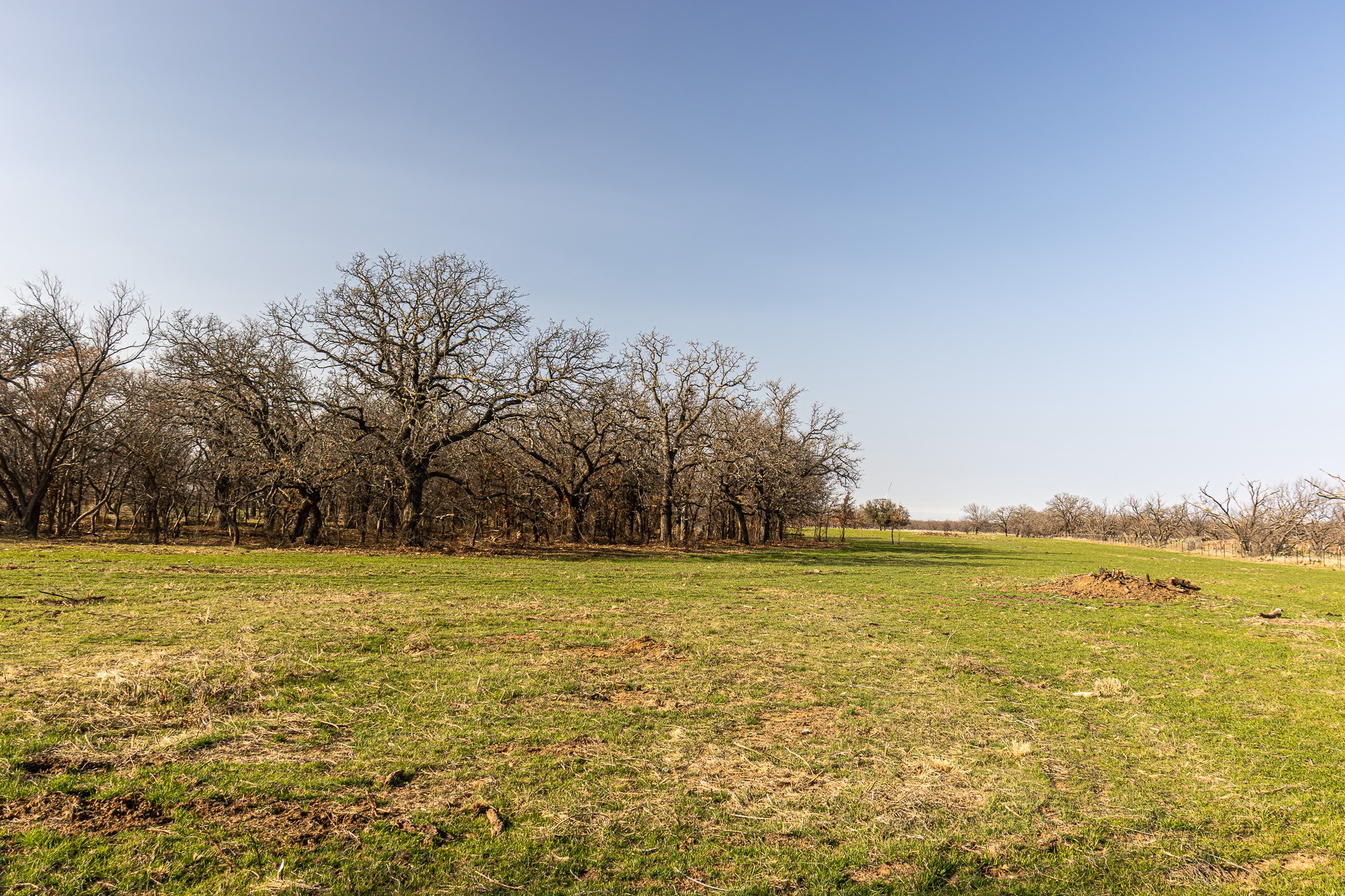 1951 Hamilton Road Graham TX 76450