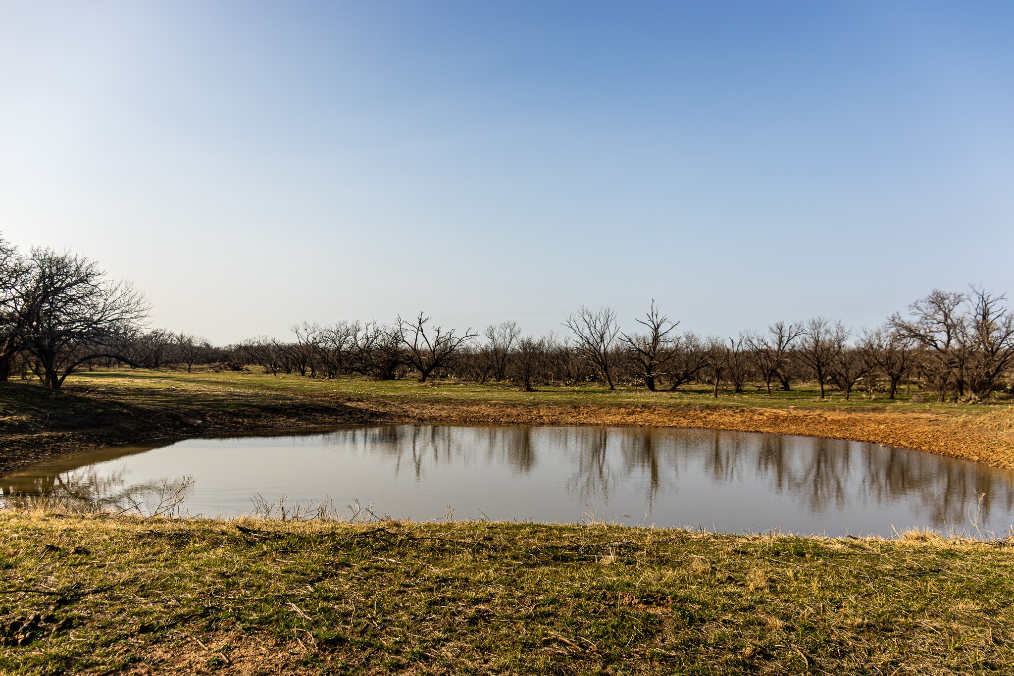 1951 Hamilton Road Graham TX 76450