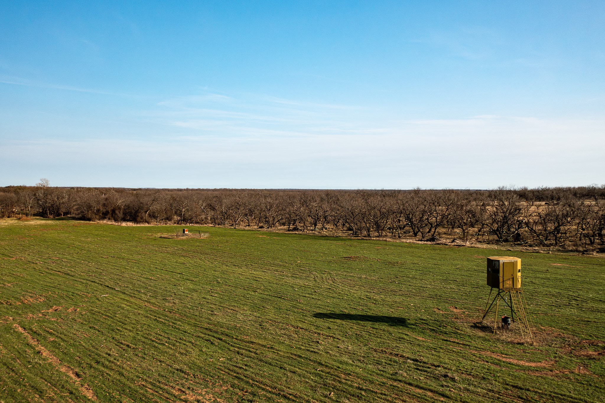 1951 Hamilton Road Graham TX 76450