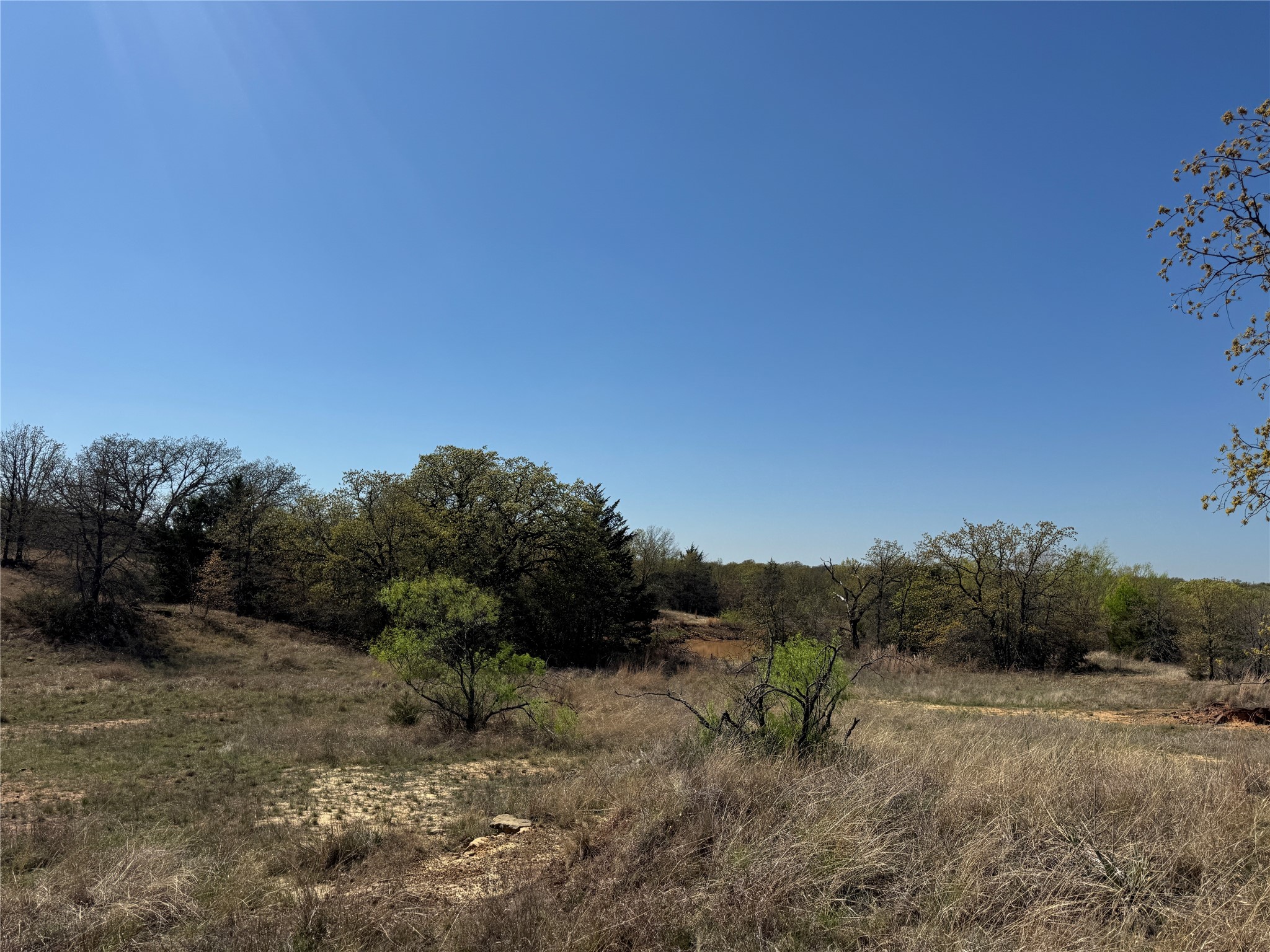 10.37 Smith Road Nocona TX 76255