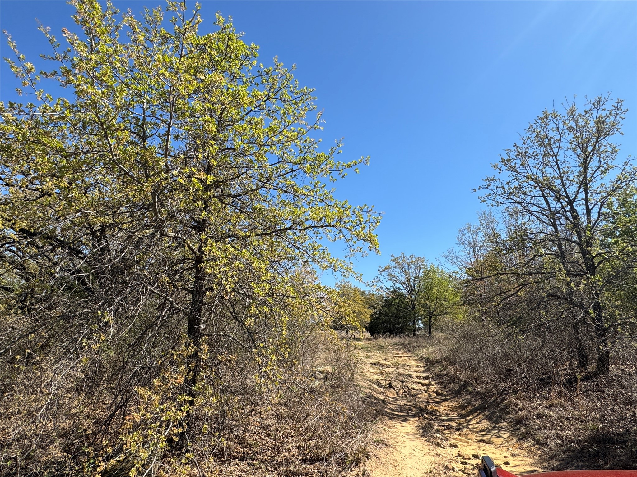 10.37 Smith Road Nocona TX 76255