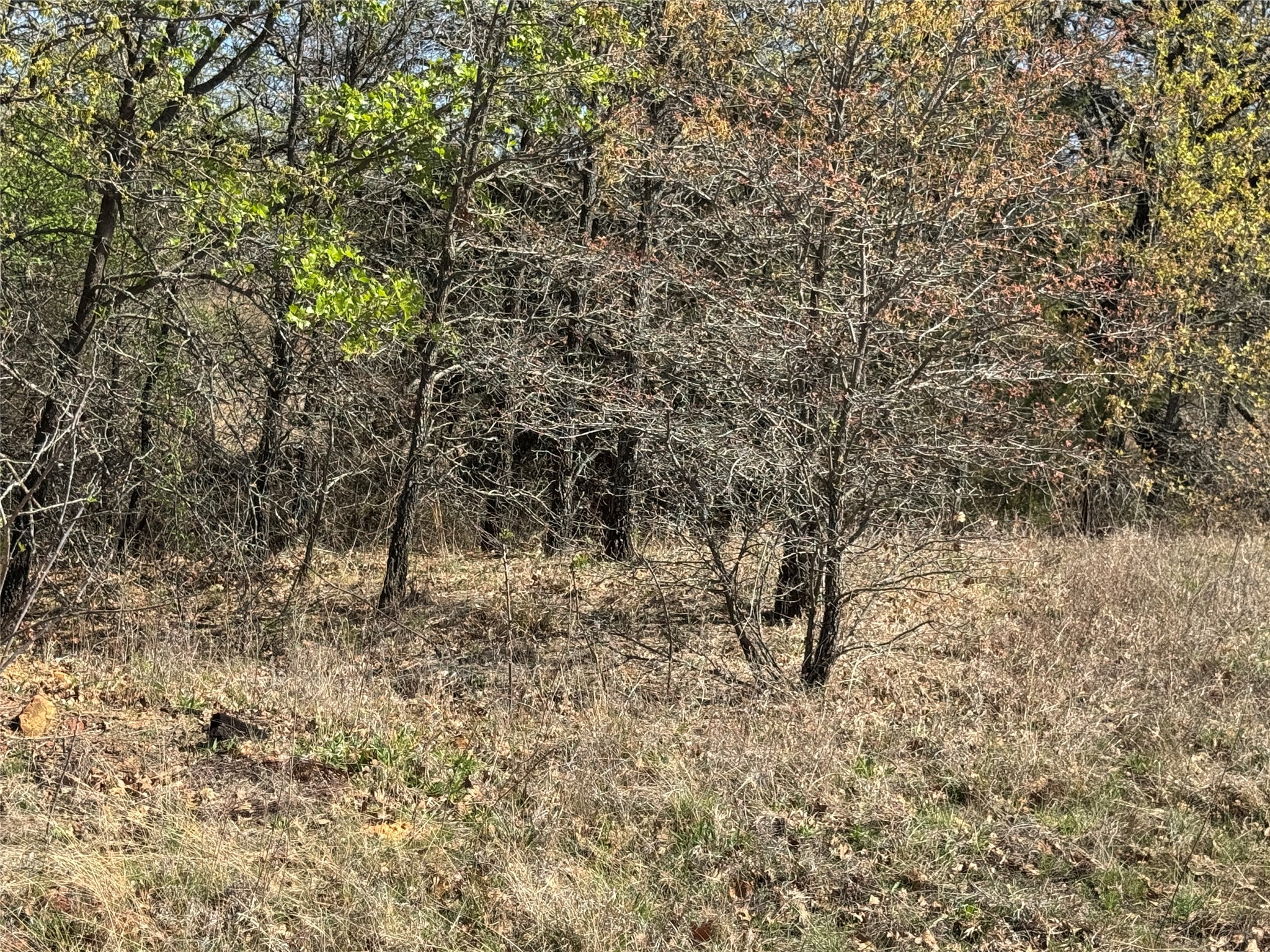 10.37 Smith Road Nocona TX 76255