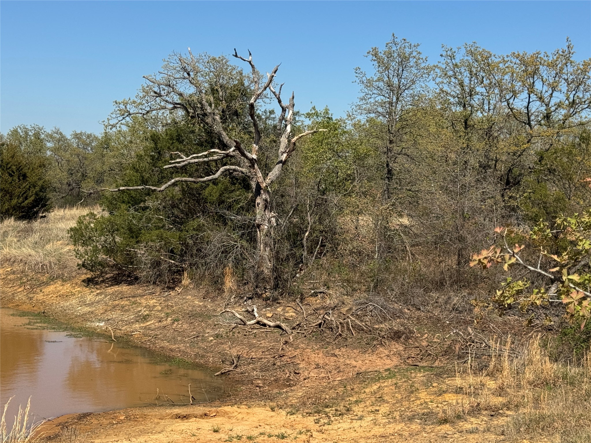 10.37 Smith Road Nocona TX 76255