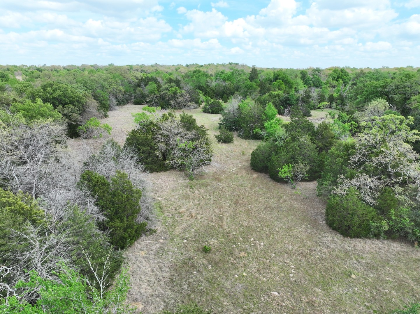 Tbd Mitchell Road Kosse TX 76653