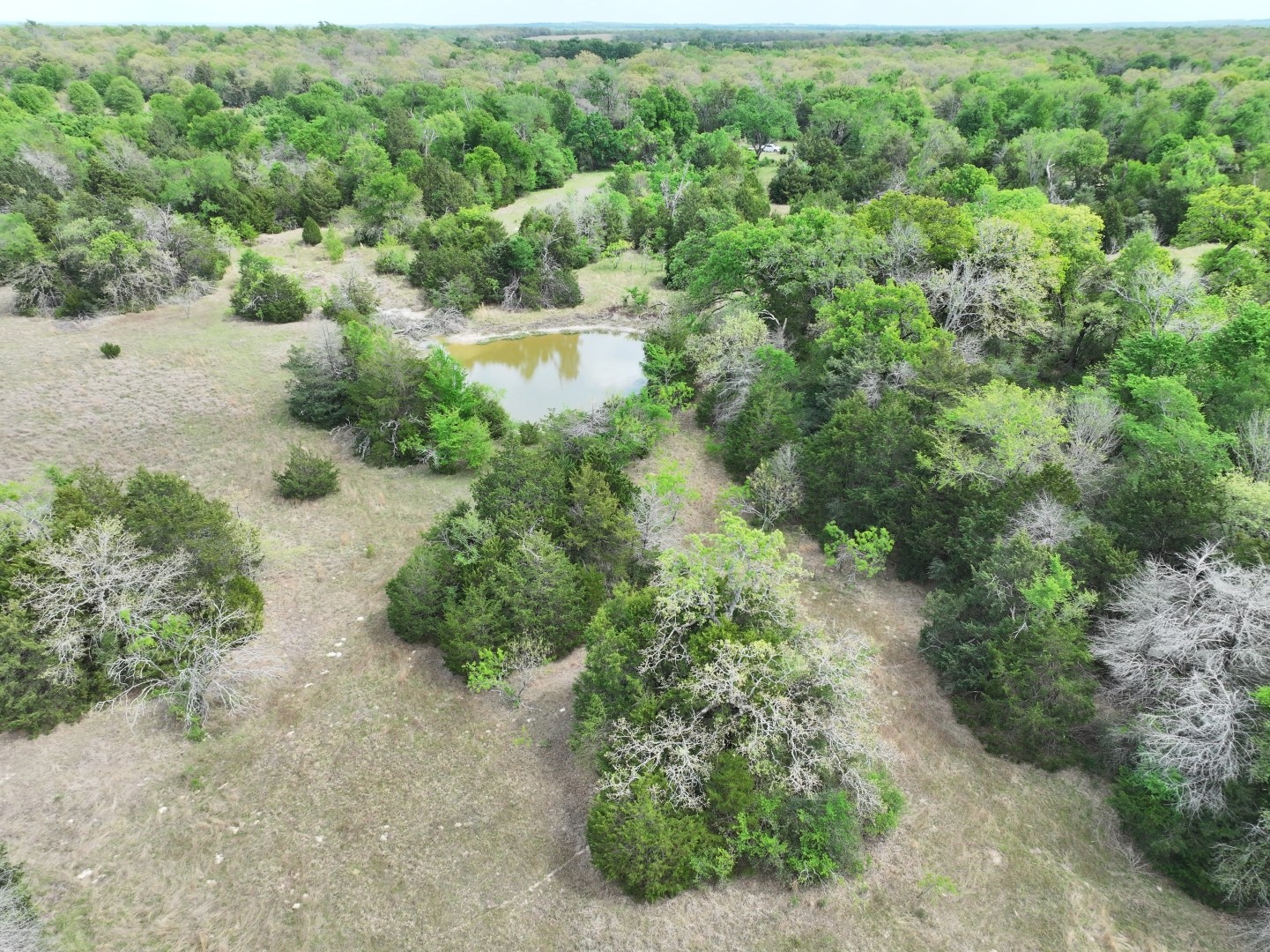 Tbd Mitchell Road Kosse TX 76653