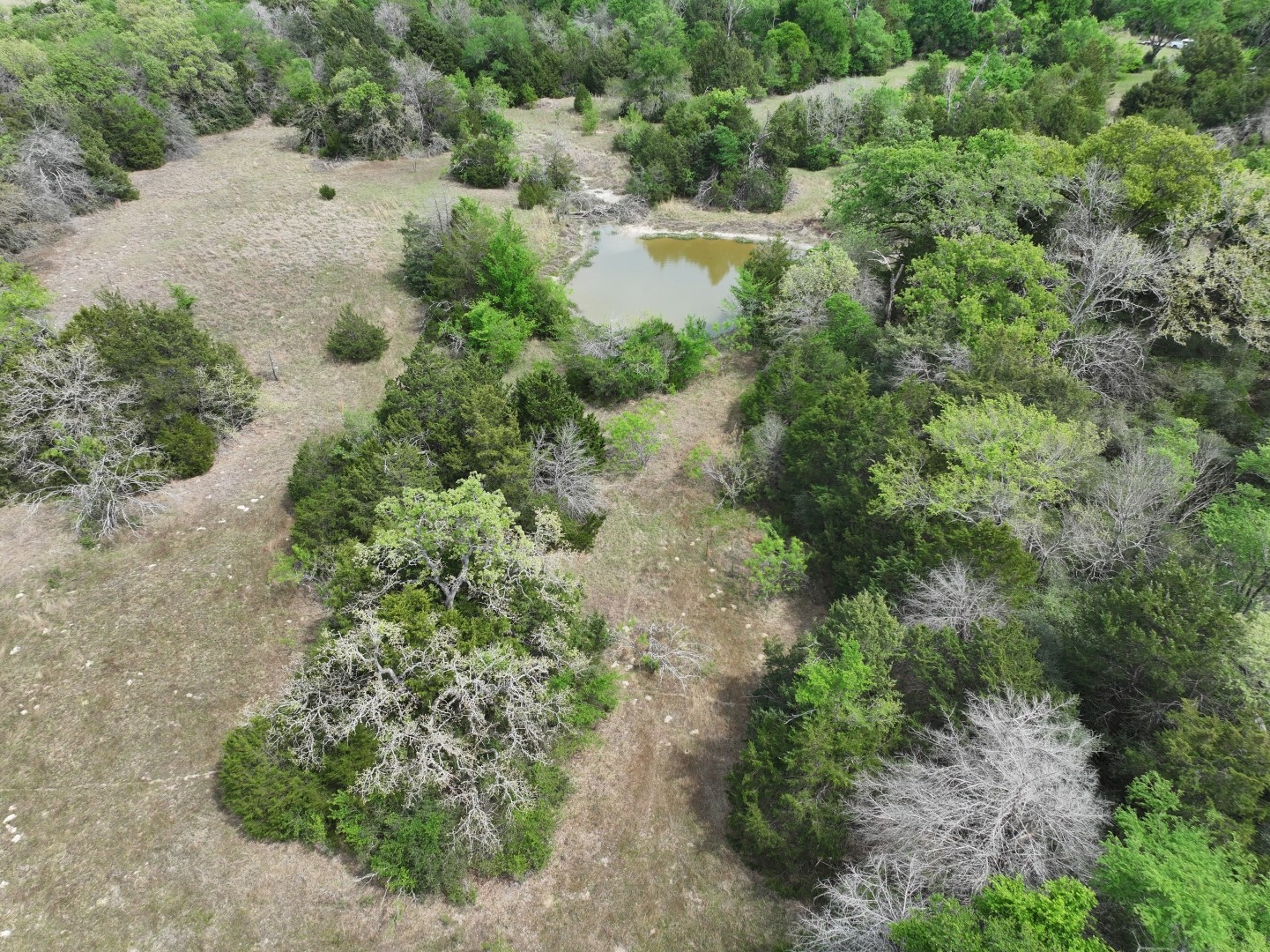 Tbd Mitchell Road Kosse TX 76653