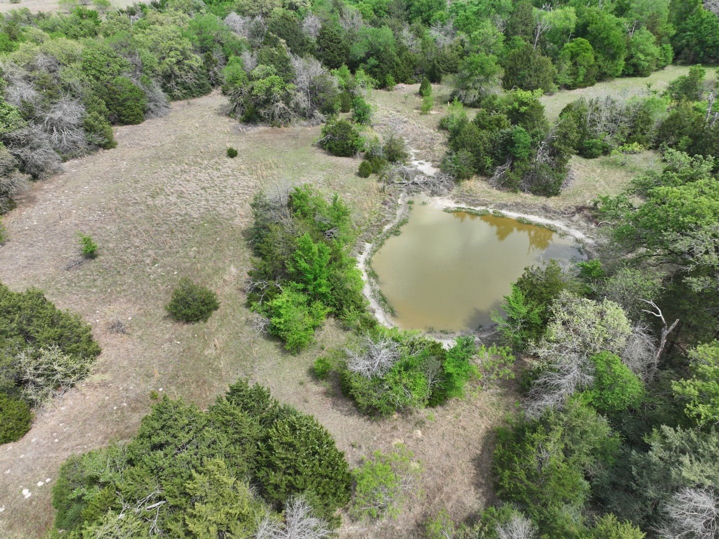 Tbd Mitchell Road Kosse TX 76653