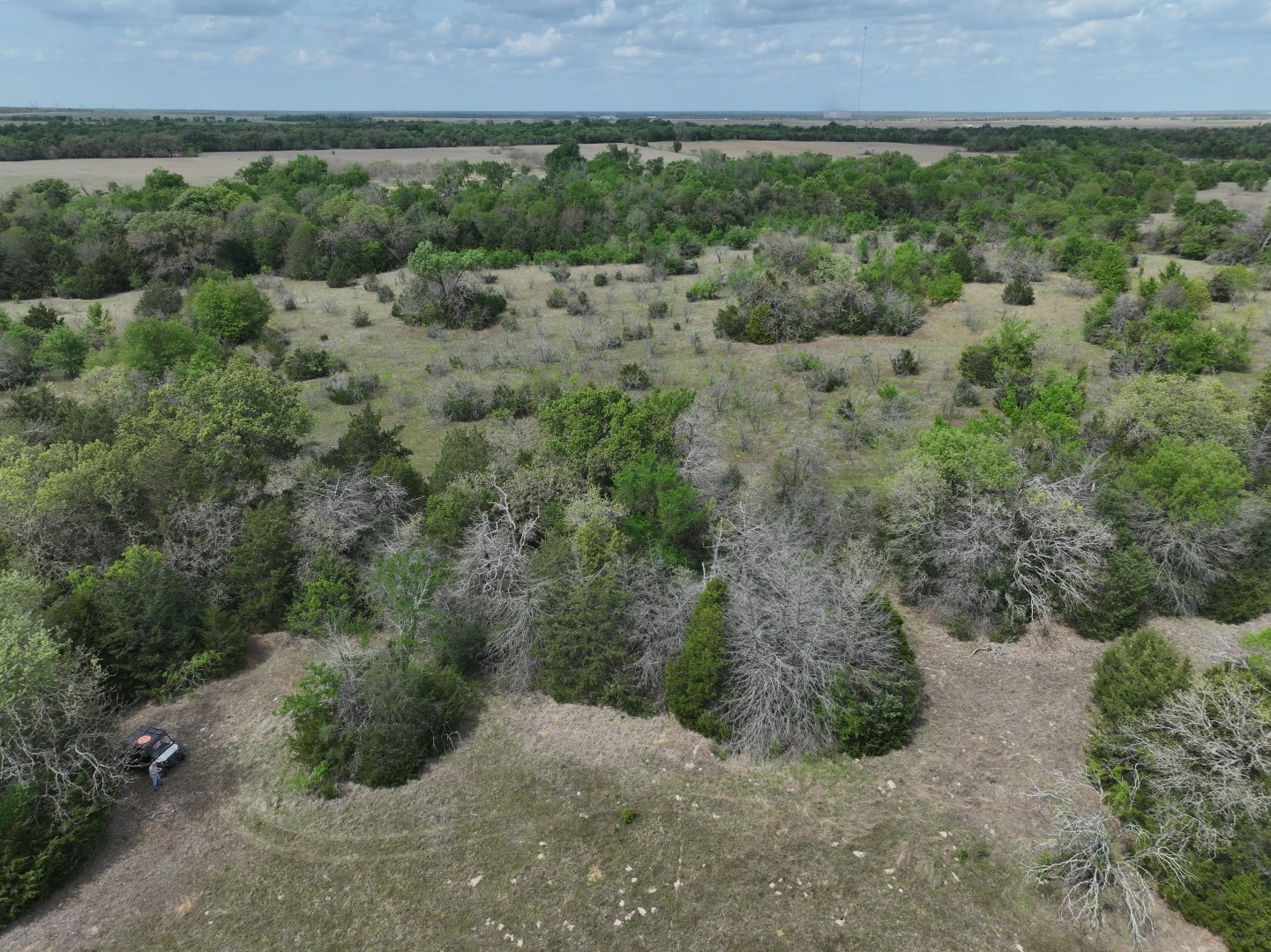 Tbd Mitchell Road Kosse TX 76653