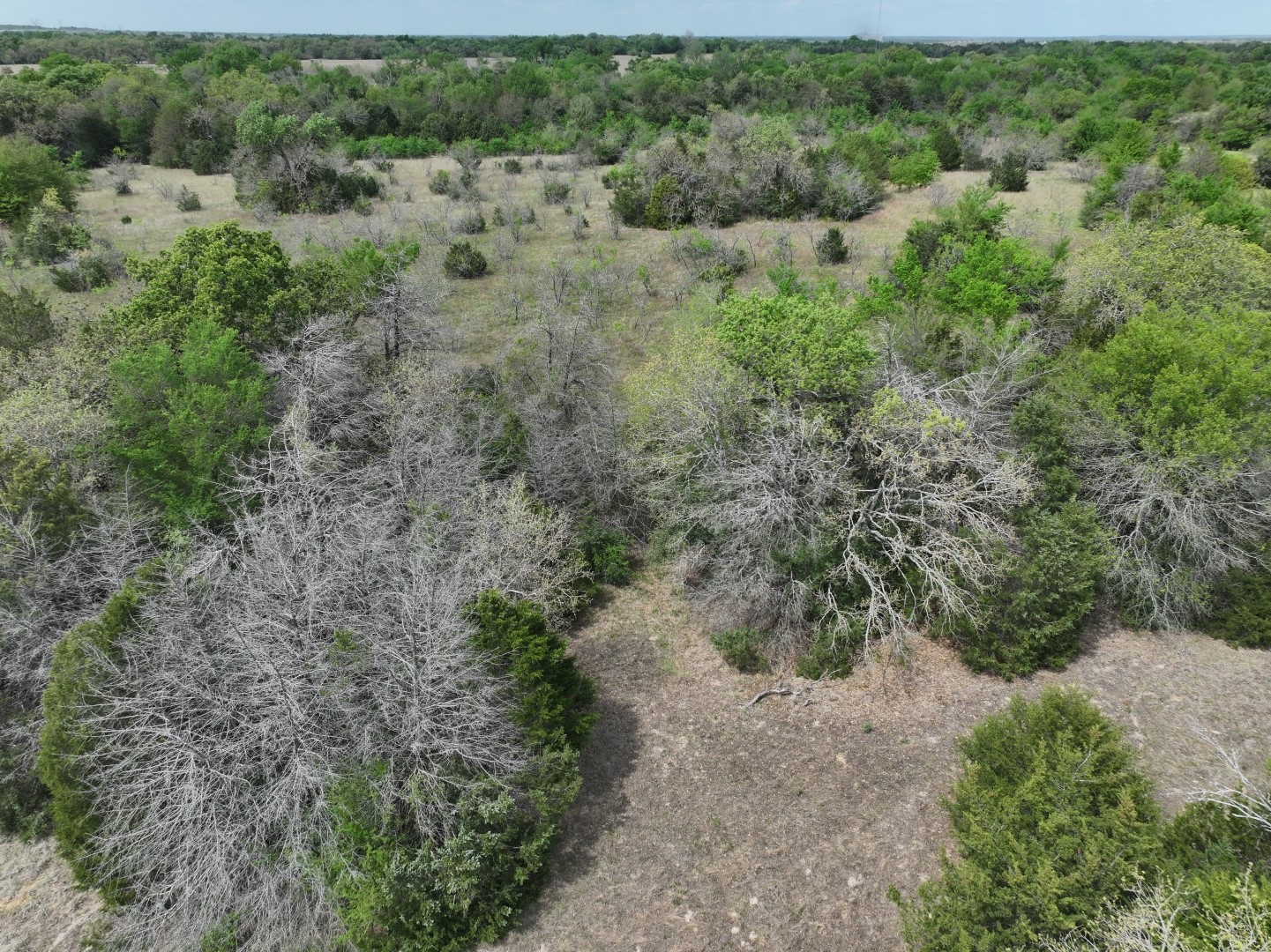 Tbd Mitchell Road Kosse TX 76653