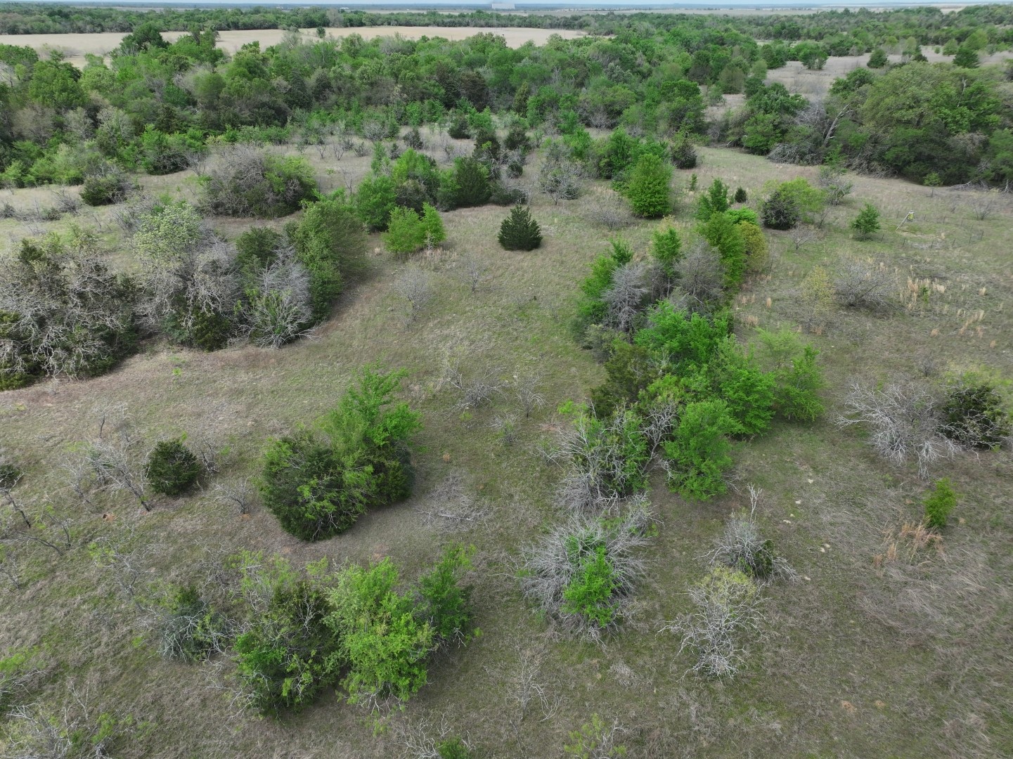 Tbd Mitchell Road Kosse TX 76653