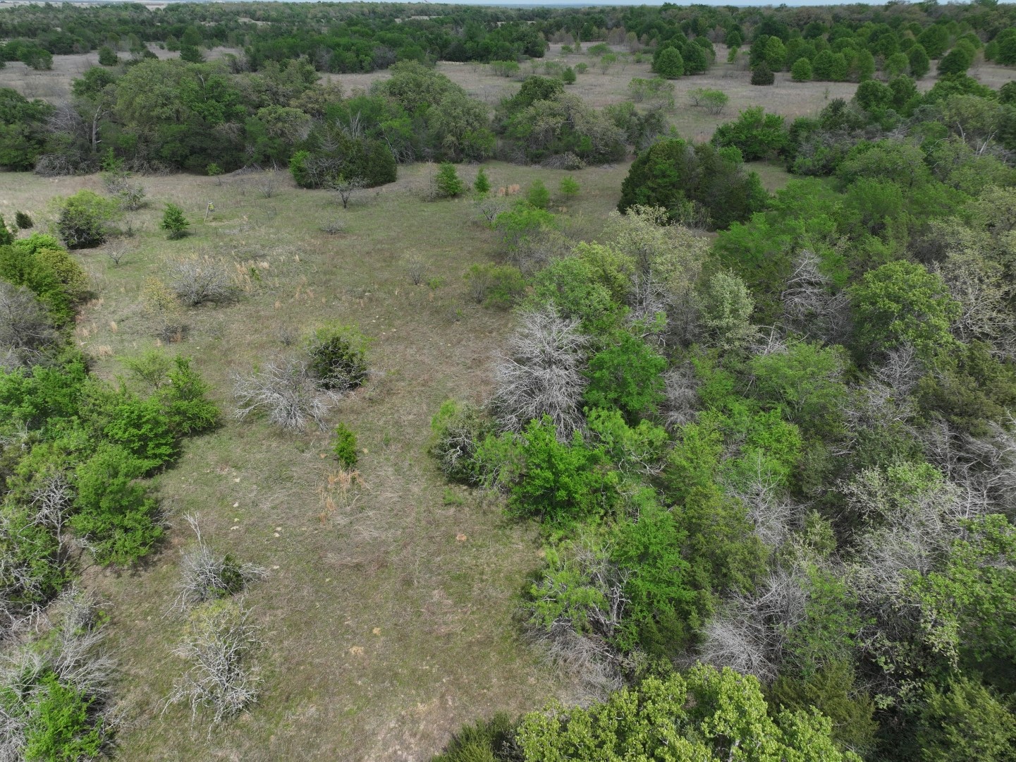 Tbd Mitchell Road Kosse TX 76653