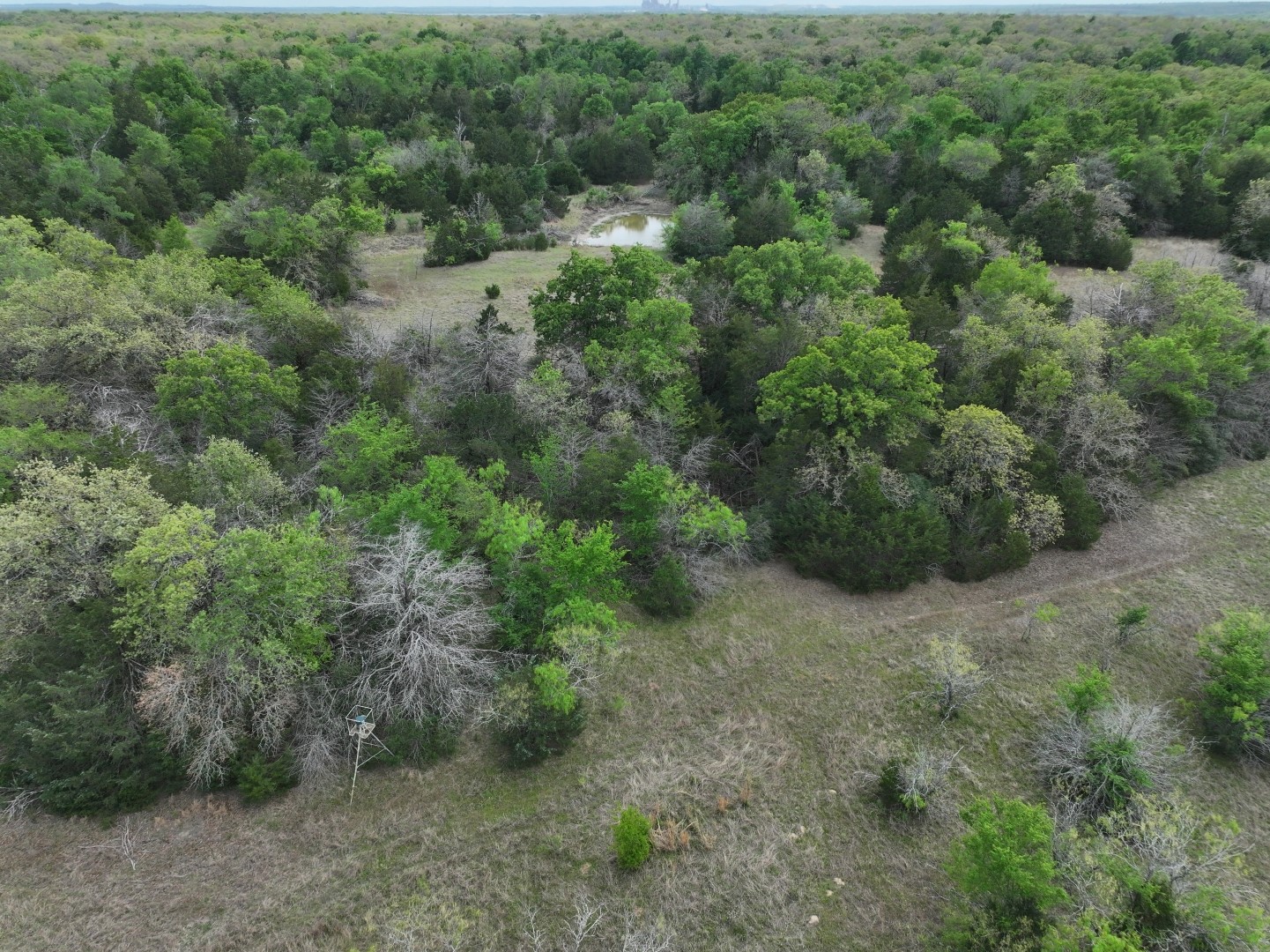 Tbd Mitchell Road Kosse TX 76653