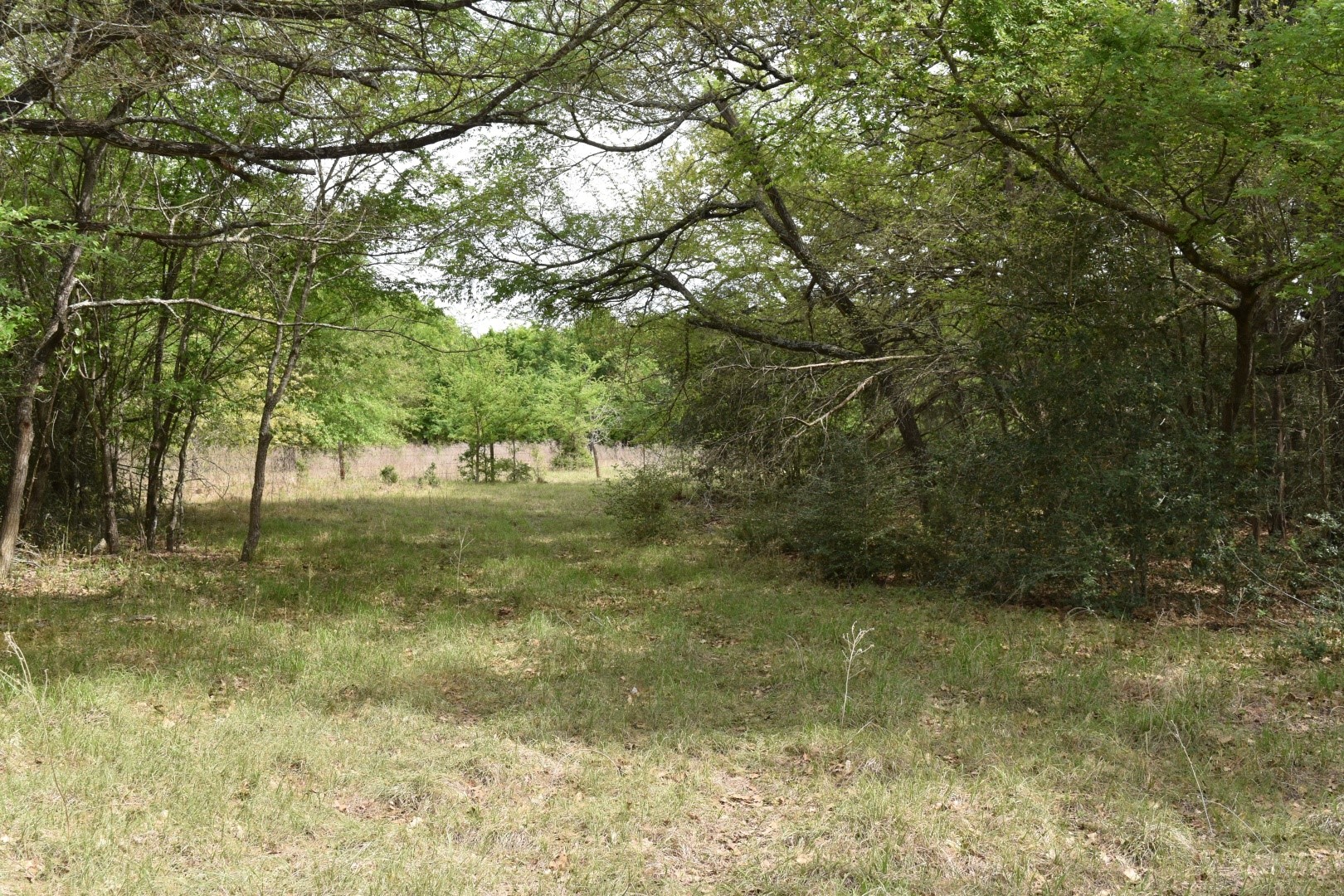 Tbd Mitchell Road Kosse TX 76653