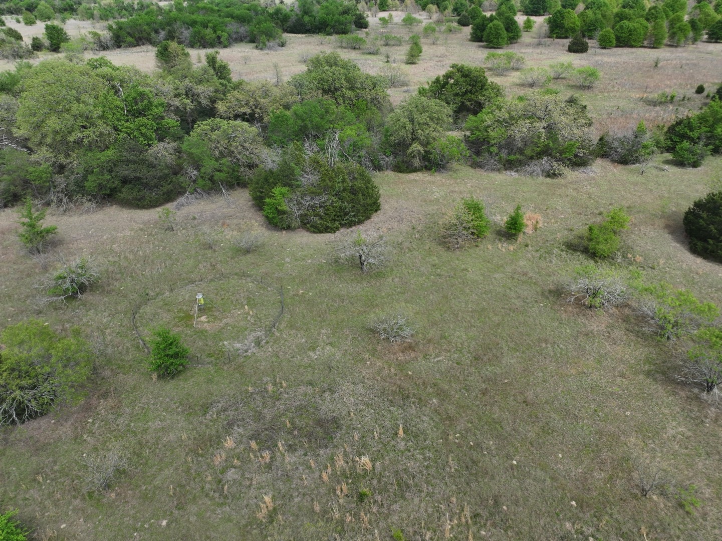 Tbd Mitchell Road Kosse TX 76653