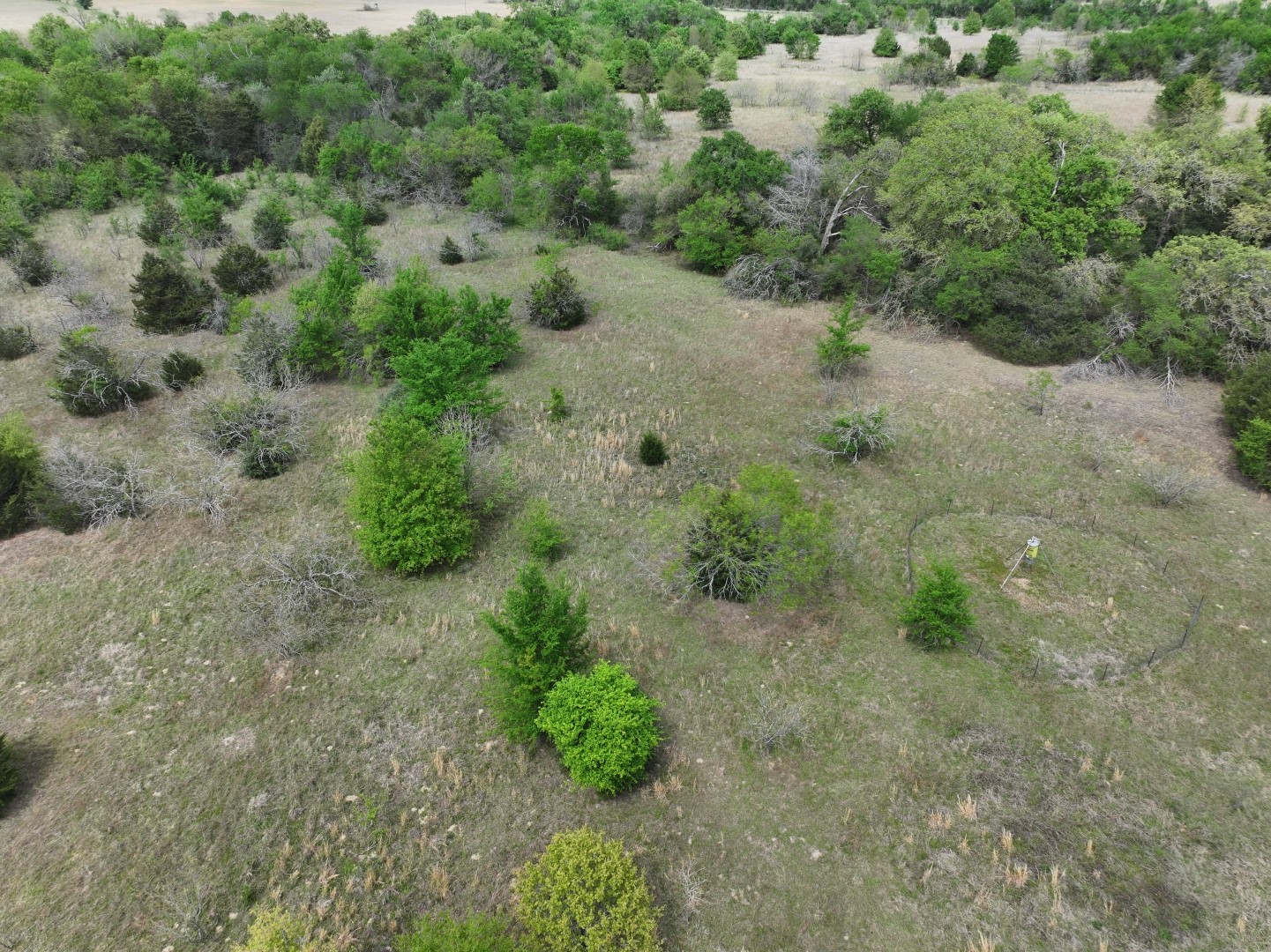 Tbd Mitchell Road Kosse TX 76653
