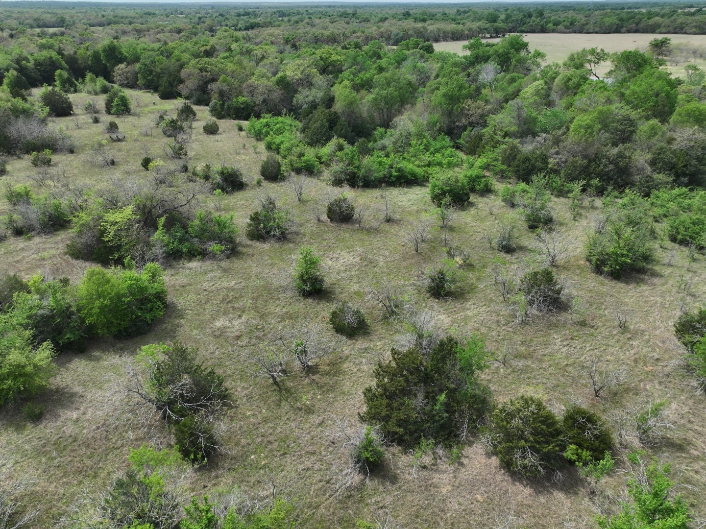 Tbd Mitchell Road Kosse TX 76653