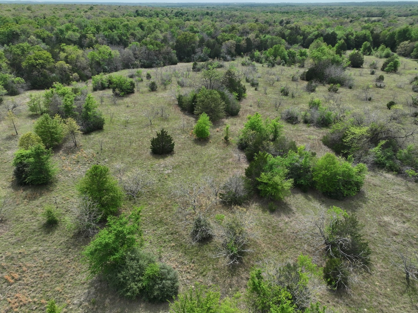 Tbd Mitchell Road Kosse TX 76653